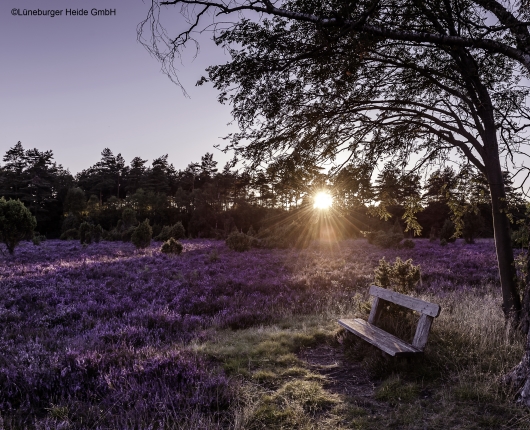 Lüneburger Heide