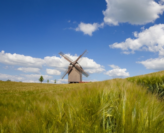 Klassenfahrt Berliner Umland